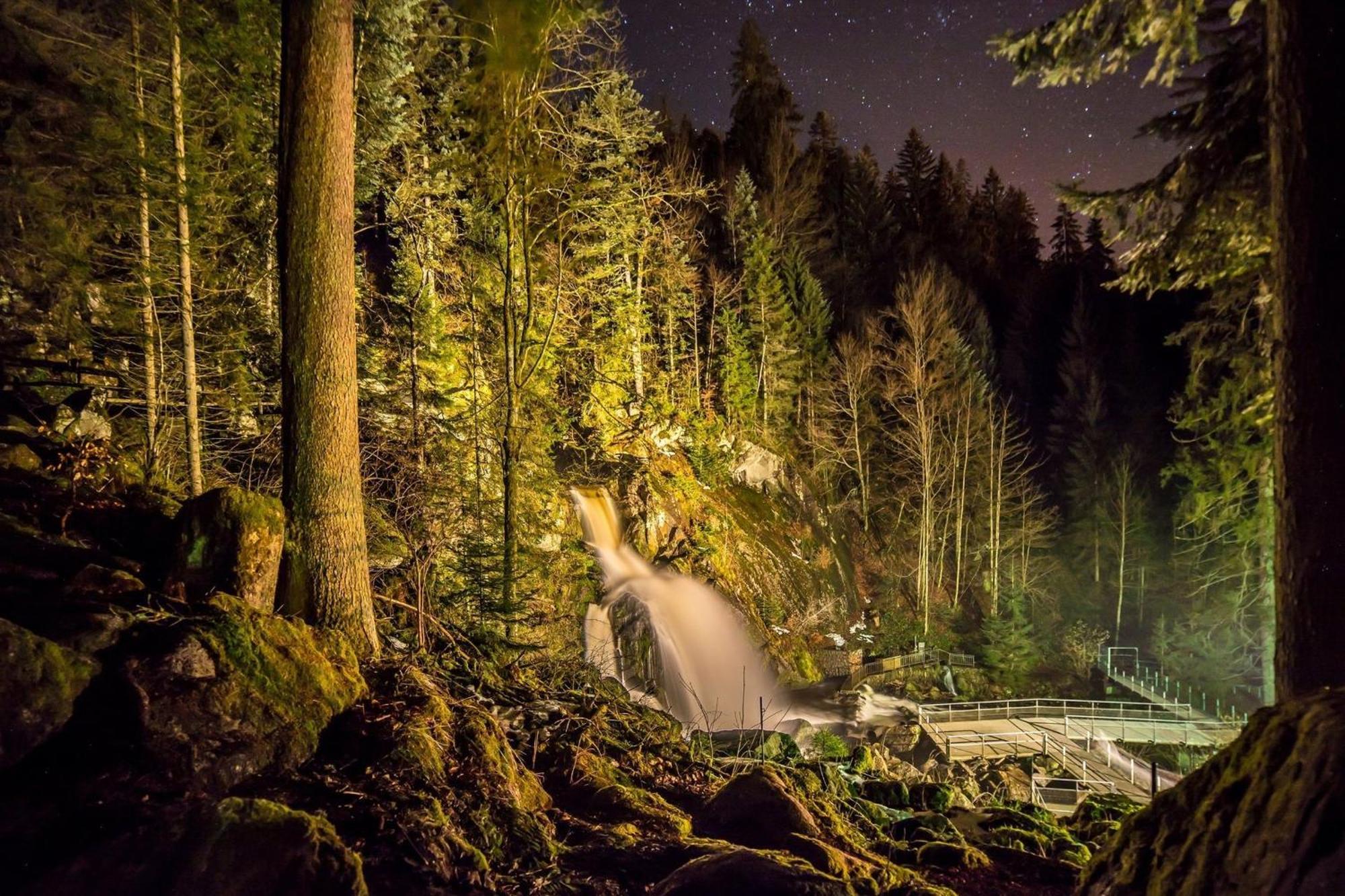 Ferienhaus Am Roesslewald Breitnau Kültér fotó