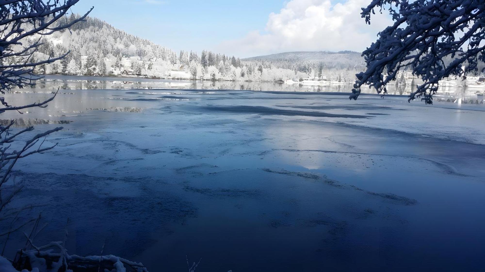 Ferienhaus Am Roesslewald Breitnau Kültér fotó